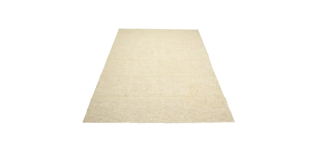 bolia882781