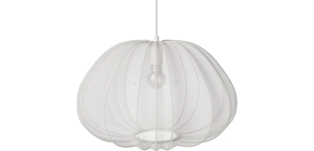 bolia906166