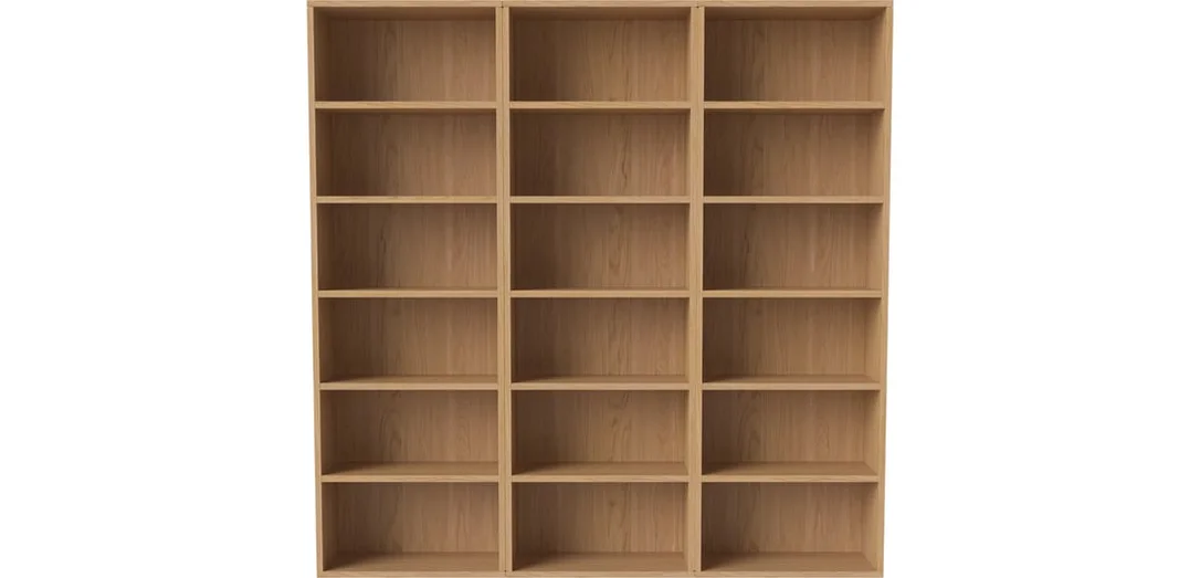 bolia908529