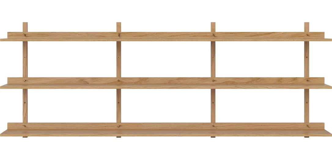 bolia912494